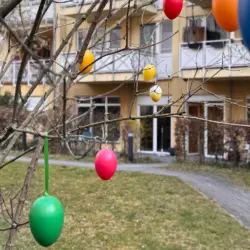 Dekorierter Garten mit bunten Ostereiern in der Osterwoche in der Tagespflege